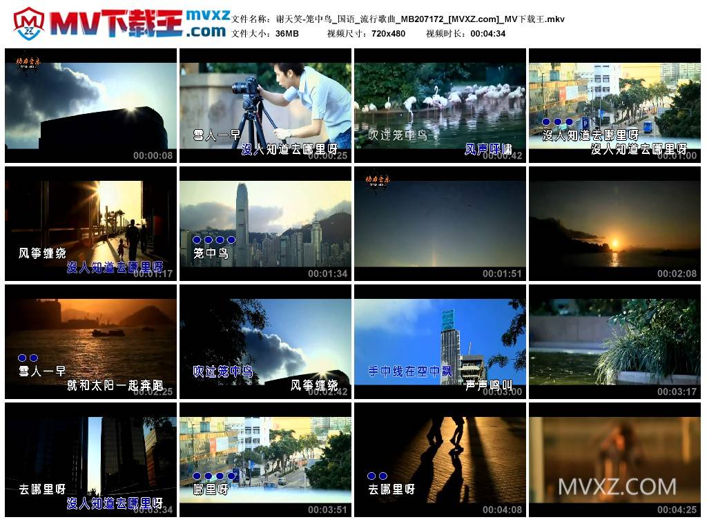 谢天笑-笼中鸟_国语_流行歌曲_MB207172